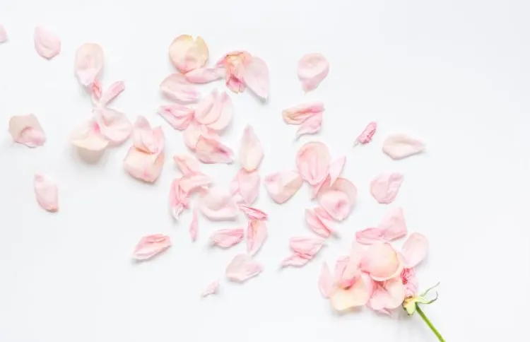 “Floral Ritual Package” at SPA Cenvaree in Thailand destinations
