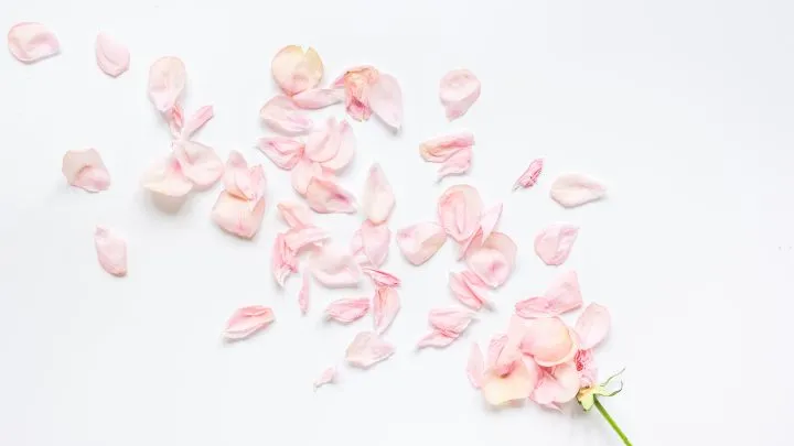“Floral Ritual Package” at SPA Cenvaree in Thailand destinations